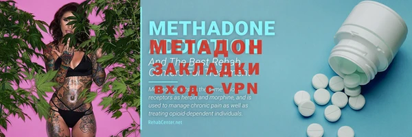 прущие грибы Богданович