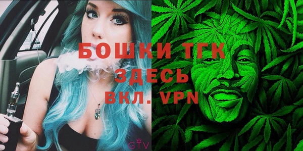 дурь Богородицк