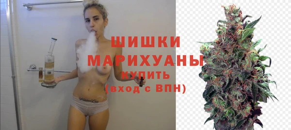 прущие грибы Богданович