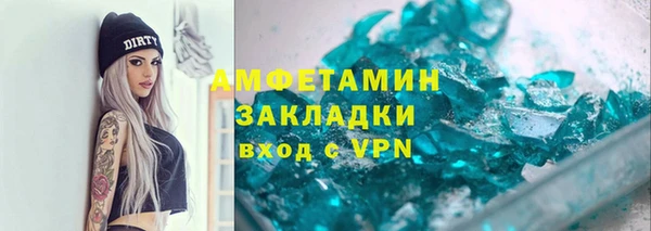 прущие грибы Богданович