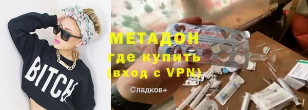 прущие грибы Богданович