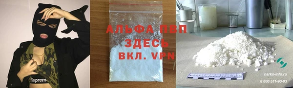 прущие грибы Богданович