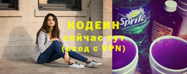 прущие грибы Богданович