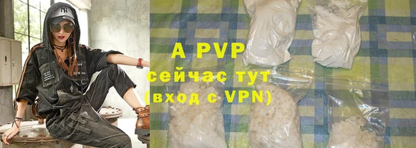прущие грибы Богданович
